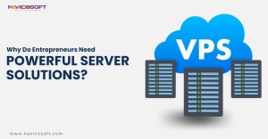 Why do entrepreneurs need powerful server solutions?